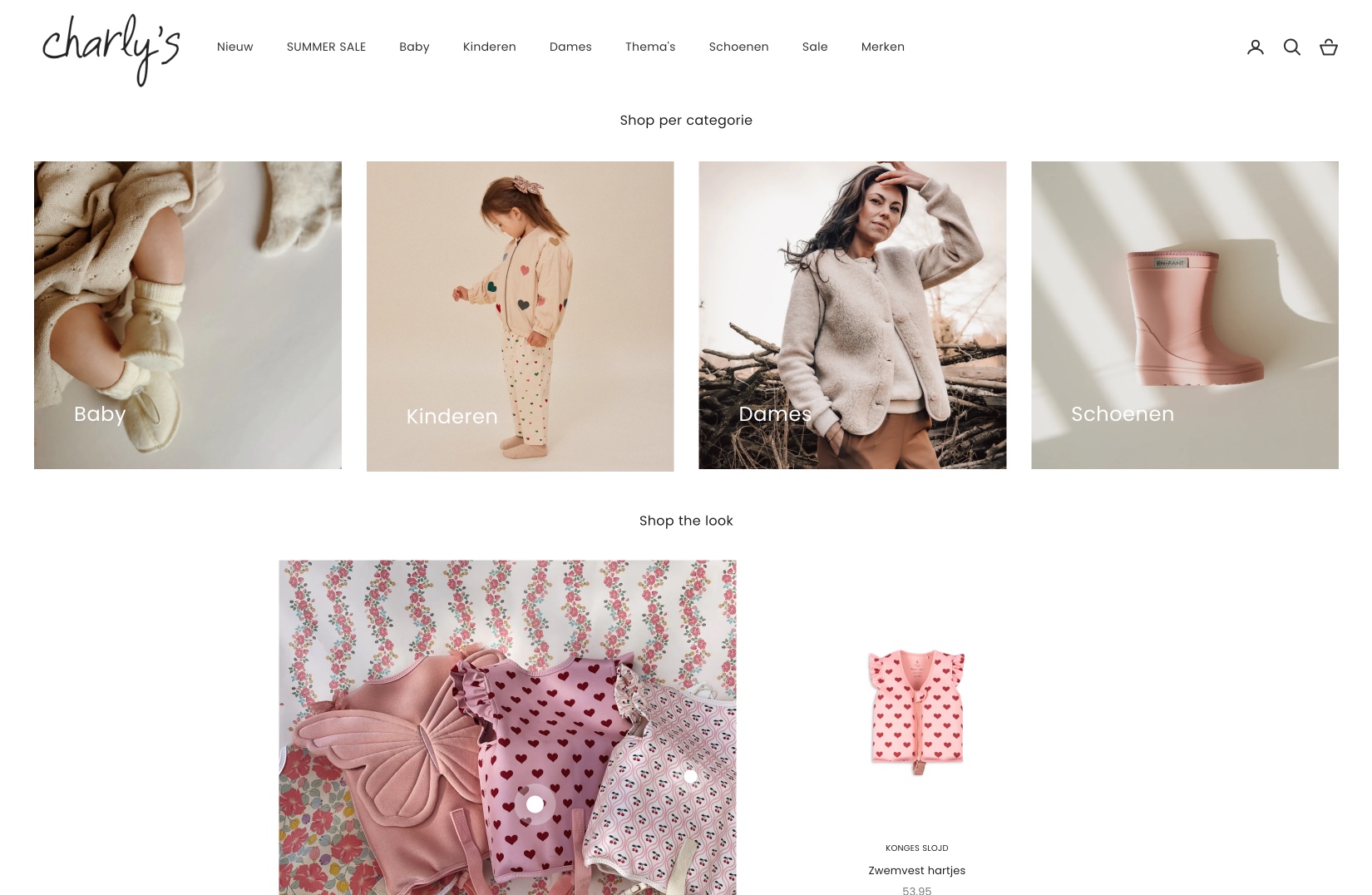 Een professionele webwinkel
